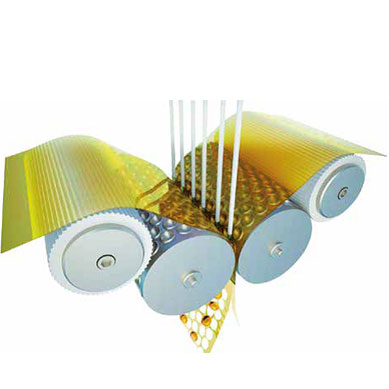 IBSA technologies: soft capsules softgel