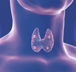 Endocrinology